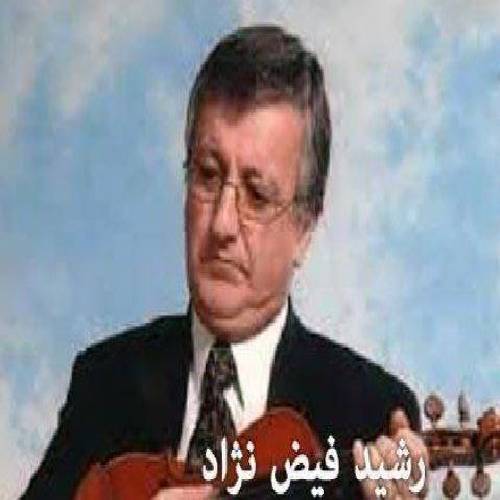 رشید فیض نژاد  ئه زیزم